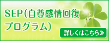 SEP(自尊感情回復プログラム)